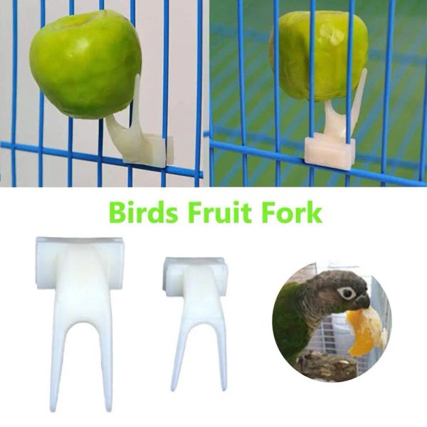 Pádico Fruto Fruta Fruta Fruta Feed Birds com Food Pet Parrot Toys Utensílios de pássaros para pássaros G0Q6