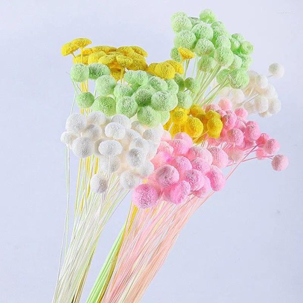 Dekorative Blumen 10pcs getrockneter Knopf Chrysanthemen frische Blumen DIY -Materialpaket Hochwertige Geschenkanordnung Hochzeitsdekorationen