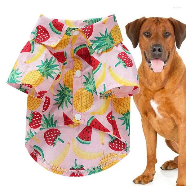 Roupas de vestuário de cachorro