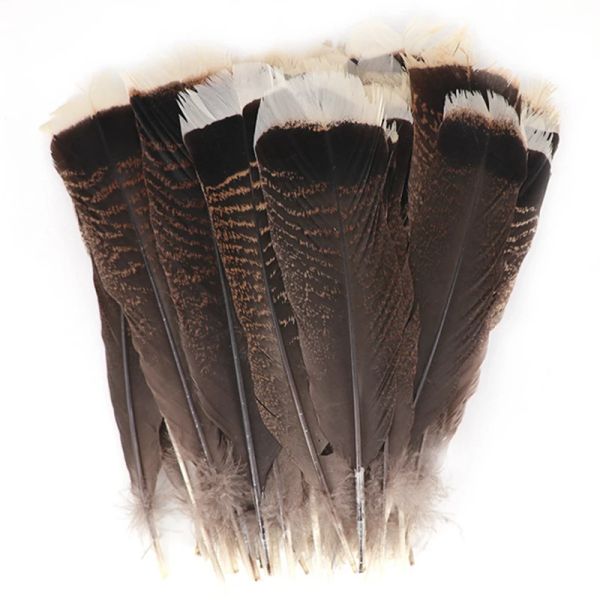 10pcs/lot naturale Eagle Birds decorazioni piuma lunghe grandi piume di tacchino per artigianato plumas carnival accessori decorazioni per matrimoni