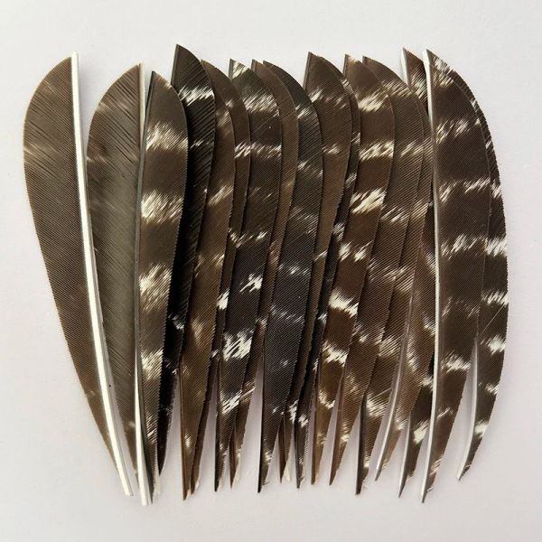 Yabao Archerys Arrows Feather Fletching 4 polegadas 50 PCs/lote de penas de peru natura