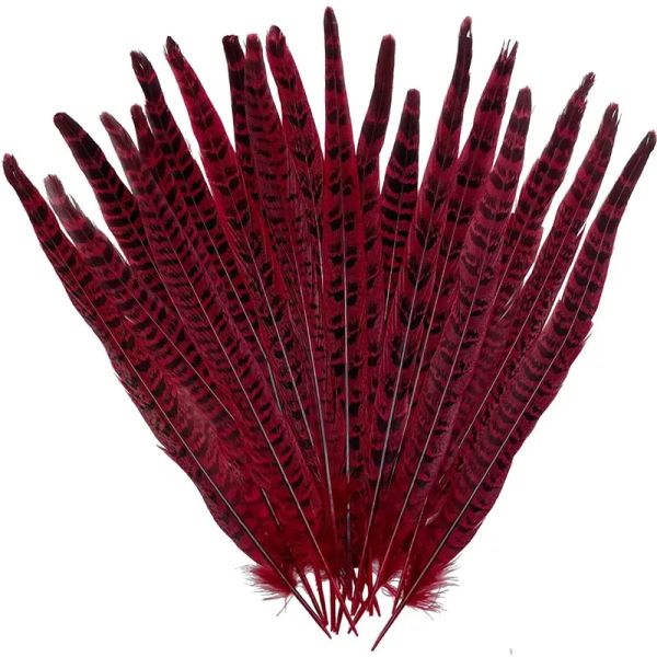 20pcs Red Turkey Avestrich Feasant Goose Duck Feathers Plumes