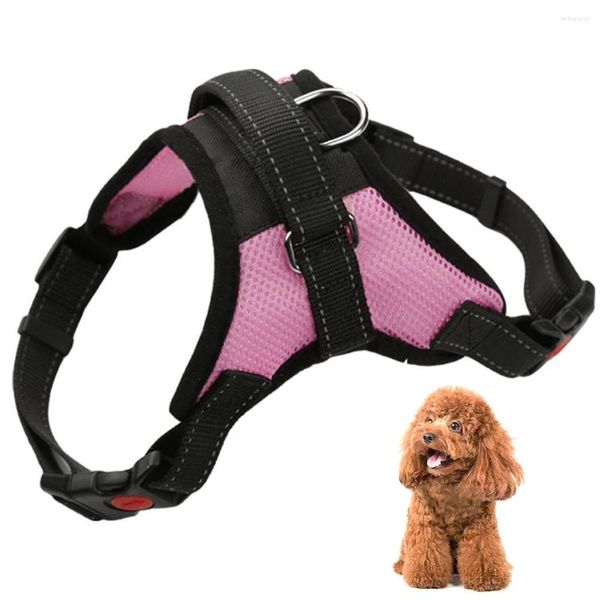 Hundekleidung Legendoggurt Weste Training für Chihuahua Welpen weiche Mesh Hunde Petshop Kragen Brustband