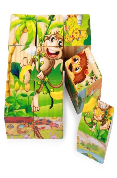 Dipinti 9 PCS cubi 3d a sei canali puzzle puzzle giocattoli di stoccaggio in legno per bambini per bambini educativi giochi divertenti9508740
