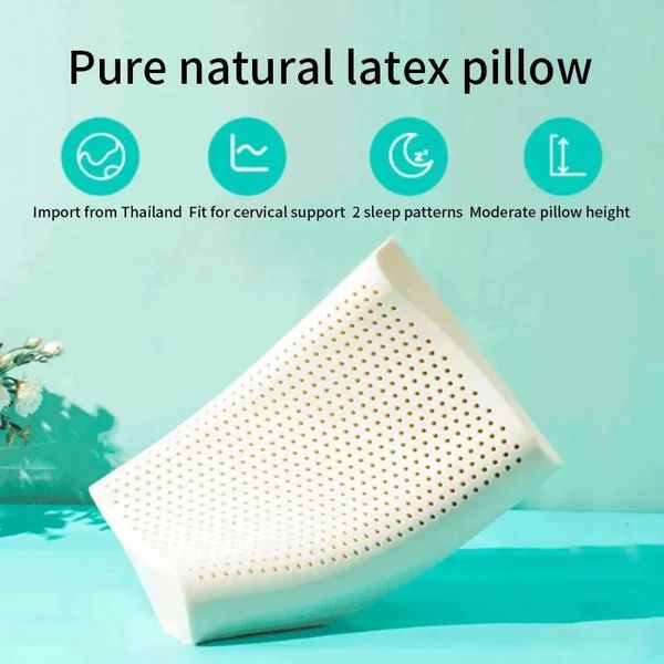 Travesseiro de látex tailandês na memória de látex de látex de látex adulto travesseiro cervical travesseiro de travesseiro de dormitório 240327