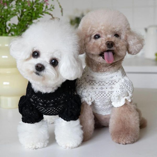 Abbigliamento per cani gilet di pizzo carino abbigliamento per animali