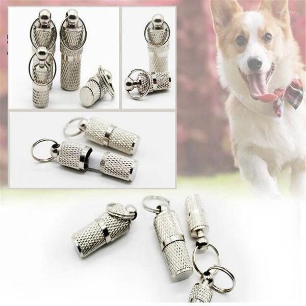 Tag del cane Silver Identificazione PET PET CAGLIO CATTURA CATTURA CATTURA Etichetta Etichetta Archiviazione Canna Tubepet Identità TUBO