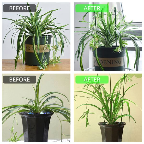40 cm/60 cm Calcing Plant Plant Support Messicatore in vaso verdure di fiore in acciaio in acciaio decorativo traliccio