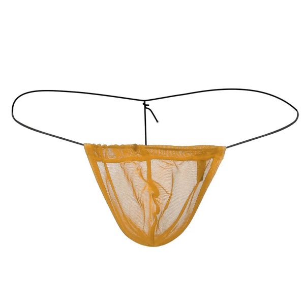 Sexy Mesh -Tanga und G Strings Transparent Sheer Mini Micro Bikini Höschen Tanga t Back Low -Rise -Männer erotische Dessous Unterwäsche