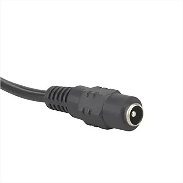 DC 1 weiblich bis 2 männliche Stromverzeichnis -Splitter -Kabel 2.1*5,5 mm für CCTV -Kamera -Sicherheits -DVR -Zubehör LED -Leuchtstreifen