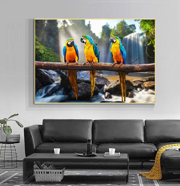 Pintura de Parrot Impresso na Arte de Parede da Cachoeira da Caixa para sala de estar Decoração de casa moderna Pictures de animais Decoração de sofá sem quadro6720399