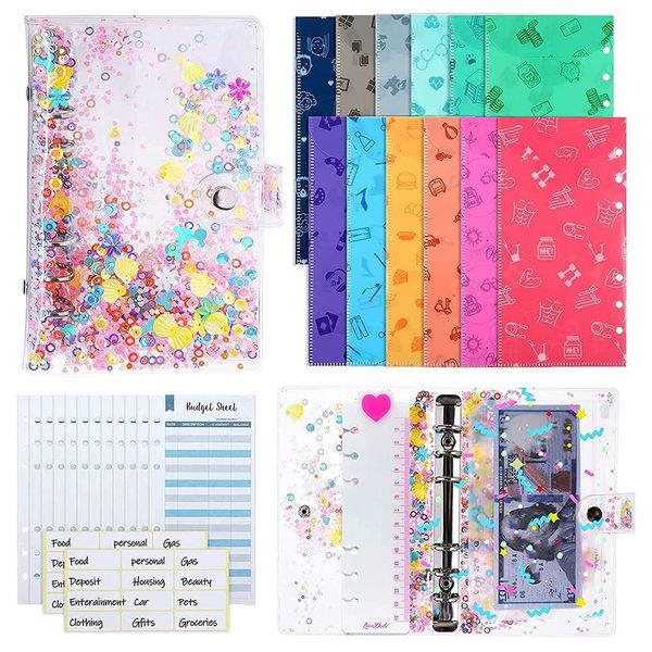 29 Stücke A6 PVC Glitter Budget Binder Organizer mit Bargeldumschlägen, Budgetblättern, Etikettenaufkleber für Home School Bill Planer