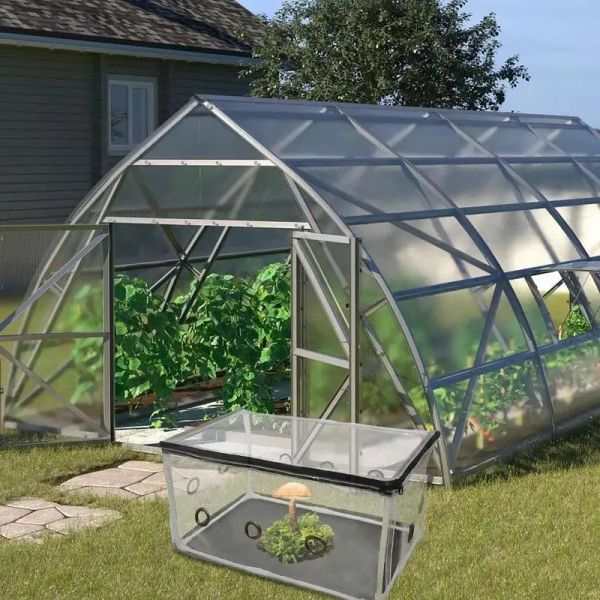 Pequena Planta de Design de zíper de Greenhouse Planta Compacta de Contêineres Cultura e Cogumelo Anti-UV Supplências de Horticultura de Grown Kit para Interior para Interior