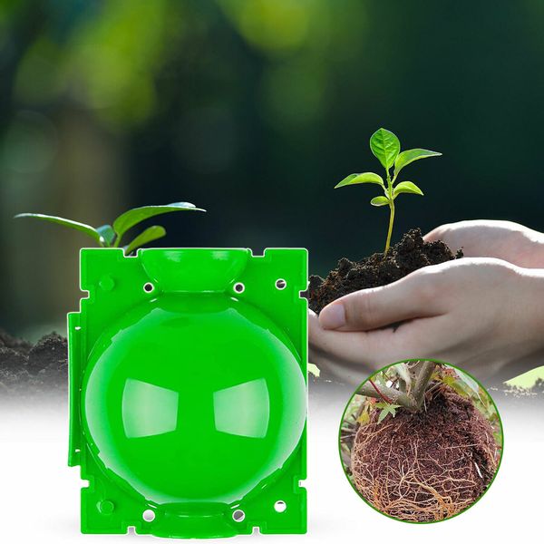 1/3/5/PC Plant Rot Radice Respuzzatore verde Responsabile della scatola di allevamento del dispositivo di allevamento Plant Device Pod Pallie ad alta pressione per giardino