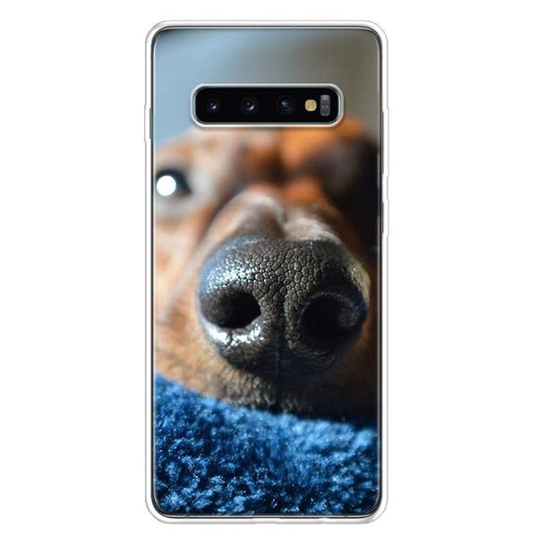 DACHSHUND TECKEL DACKEL CANTE CAPO DE TOPO DE SAMSUNG Galaxy Note 20 Ultra 10 Lite 9 8 M21 M31S M51 M32 M52 M12 M11 J4 + J6 PLUS J8