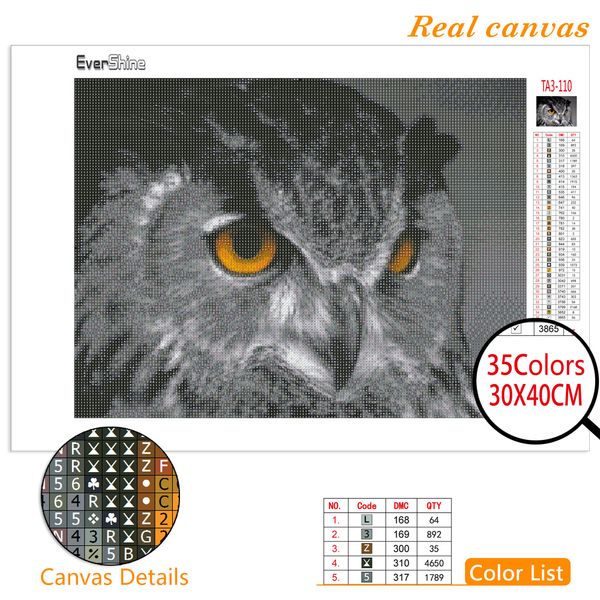 Evershine 5d Diamond Painting Owl New Award Chegada Full Square Cross Stitch Diamond Bordado Animal Strassões de imagem Decoração de casa