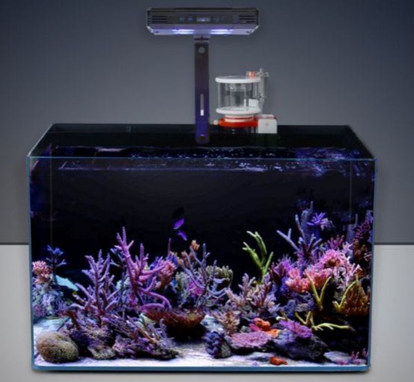 Acquario Acqua di mare Corallo Luce 30W 52W Acqua di mare Sunrise Sunset Spectrum Full Spectrum Cilindro marino LED.Lampada per morsetto del tubo di luce del corallo marino