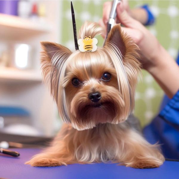 Abbigliamento per cani 10 pezzi Accessori per elastici per animali domestici Bande per capelli per coppie da ragazza