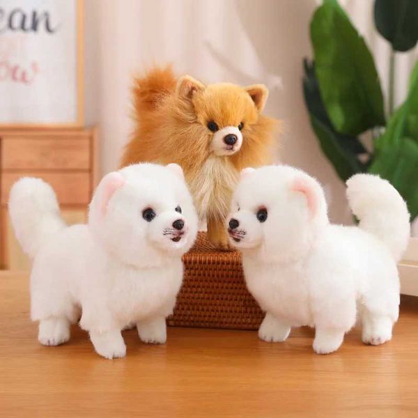 Bambole peluche Nuove graziose peli di peluche Phush Pomeranian Real Life Animali giocattoli morbidi bambole per animali domestici per bambini J240410