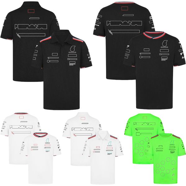 Yarış setleri 2024 f1 Takım T-Shirt Formül 1 Yarış Polo Gömlek T-Shirt Yeni Sezon Sürücü Yarış Takım Jersey Üstler Yaz Erkek Kadın T-Shirt Plus Boyut