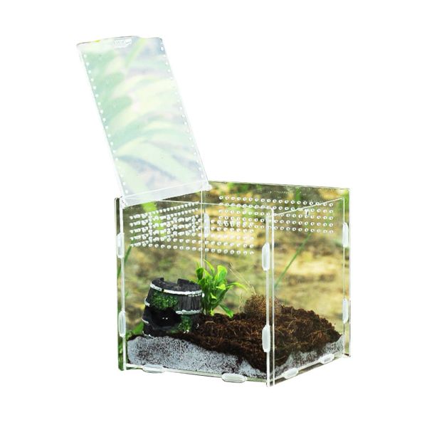 7x8x10 cm transparente Reptilien -Zuchtbox Acryl -Fütterungsbox 360 Grad hoher transparenter magnetischer Haustierkletter -Terrarium