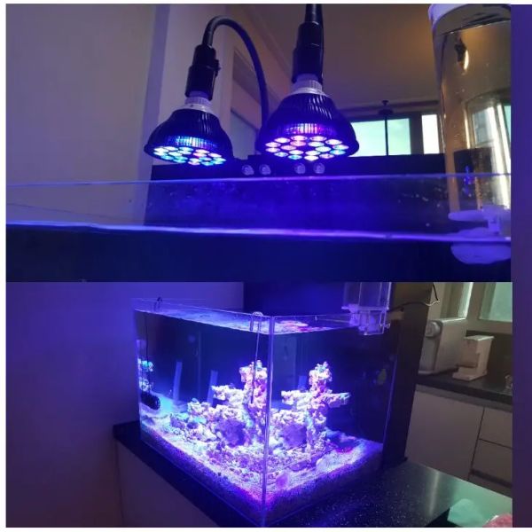 Aquário de aquário LED LED LED LED PET PEIX PLANT TANQUE CROVE BULB 54W PARA ALGUELA DE CORAL DE CORES MARINHO DE ÁGUA SALTA ALGAS