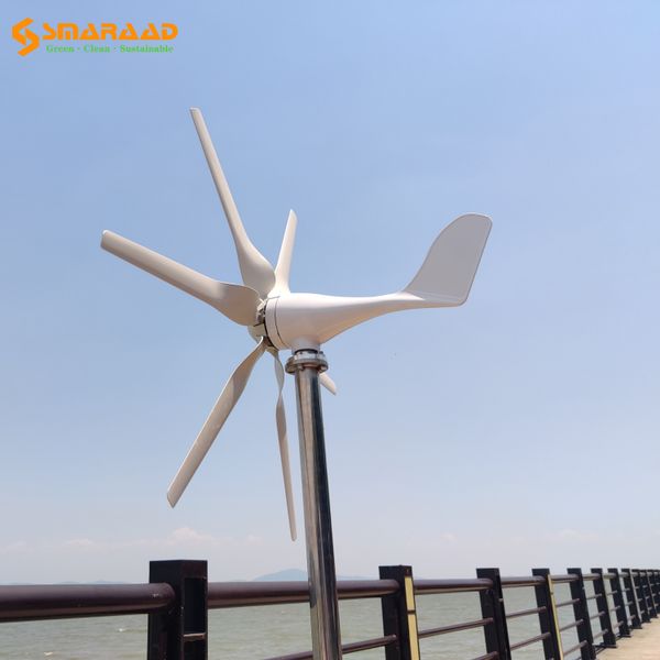 Pl, ES, RU Warehouses 400W 600W 800W 3/5/6 Blade Windmill 12V 24V 24V Generatore di turbine eoliche piccole per la casa di strada da casa.