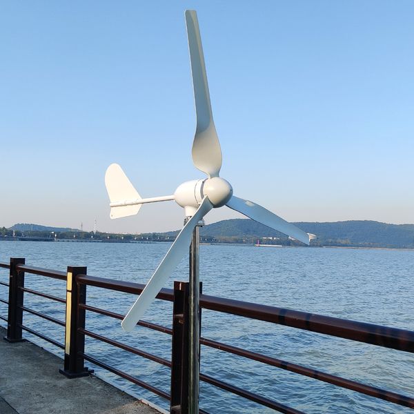 Windturbinengenerator 2000W 48 V 24 V 12V Windmühle Horizontales Windgenerator Kit kostenloser Energiealternalternmark für den Heimgebrauch