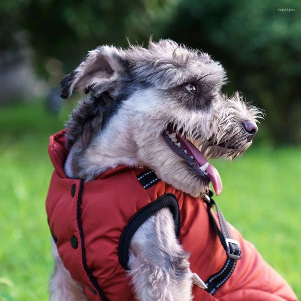 Hundekleidung Gurthause wasserdichte Jacke Haustier Katze Kleidung Welpe Winter warme Kleidung Weste für kleine Hunde Shih Tzu Chihuahua Mops Mantel