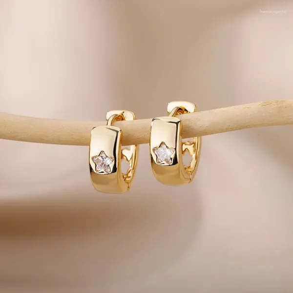 Brincos de argolas estrela de zircão para mulheres aço inoxidável cor de ouro redonda huggie 2024 jóias de casamento tendências pêndos mujer