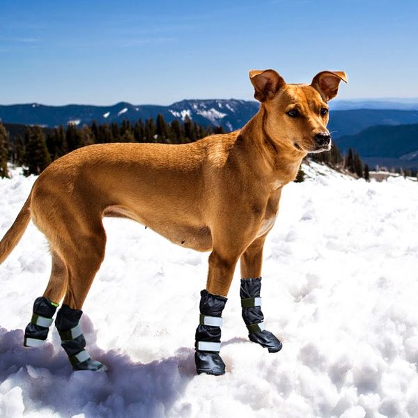 Sapatos de cachorro grandes e 100% à prova d'água com borracha sola de inverno, botas de neve ao ar livre, selando botas de jack de jack