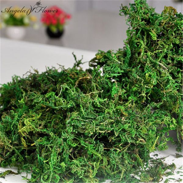 100g/Bag Natur trocken echte grüne Moospflanzen dekorative Blumentopf künstliche Rasen -Seidenblumzubehör für Bonsai Dekoration