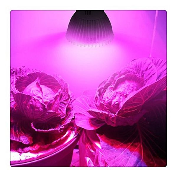 5W 5 LEDs (3 blau 2 rot) AC 85-265V Pflanze LED Wachsen leichter LED-Lampenlampe Licht-Downlight-Pflanzen Glühbirne für Innenblütenpflanze