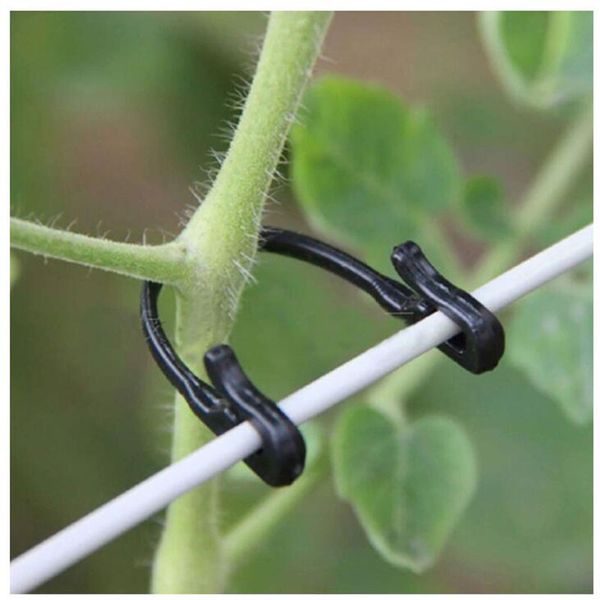 Clipes de fixação de plantas clipes de suportes de tomate rack malha de malha de rack de jardinagem linha de pacote agrícola gaiolas de plástico s1