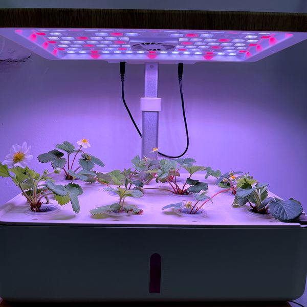 12 POTS Sistema inteligente de hidroponia Grow System Kits de jardim de desktop internos com luzes de crescimento LED Planter inteligente para cozinha em casa