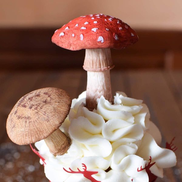 Toad smagliette e funghi muffa e torta di fondente per vene decorare lo strumento di cottura al cioccolato a stampo silicone per la torta gumpaste