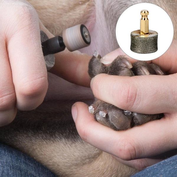 Vestuário para cães 5 pcs suprimentos de unhas de estimação Ferramentas de limpeza Ferramentas Clippers Tools Polhoer Roding Horting Head