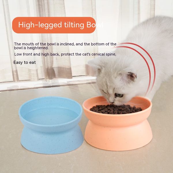 Pet Cat Bowl Double Bowl Food Bow