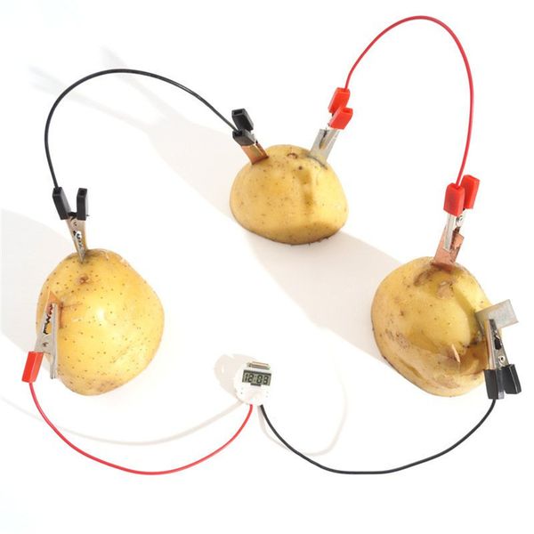 Biologia de frutas de batata gerar energia de eletricidade Experimento Toys educacionais para crianças Kit de tronco elétrico da escola