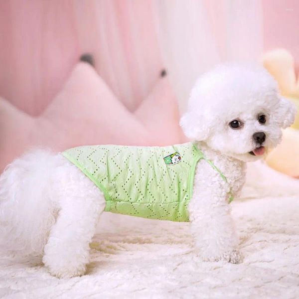 Abbigliamento per cani 2024 GET di gatto da compagnia cucciolo abiti estivi in rete traspirante in costume simpatico costume bichon chihuahua