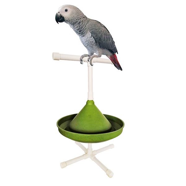 Попугайная стенда птичья игрушка портативный окунь и тренировочный кормление и ванна для инструментов легкий вес птиц.