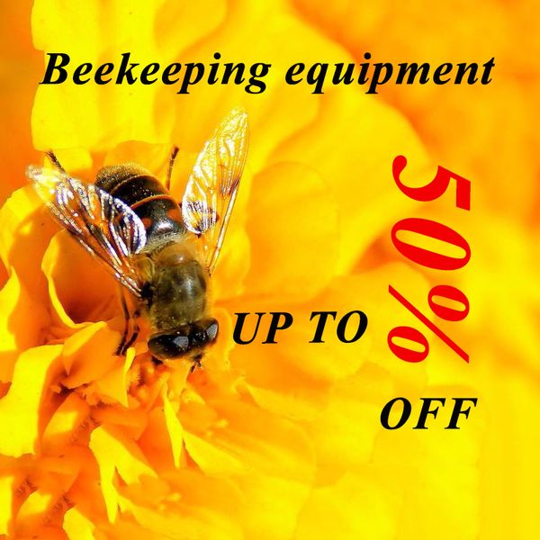 4pcs Bee Queen Cage Tool