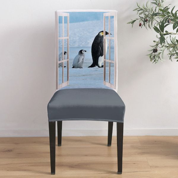 Copertina di sedie da pranzo Vista da finestra Antartic Penguin Cover di copertura per sedia elastica per sedia elastico forniture per matrimoni.