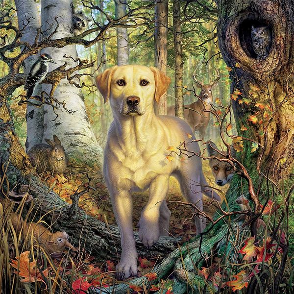Dog Dog Labrador Printed 11ct Cross-Stitch Kit Diy Вышивка DMC.