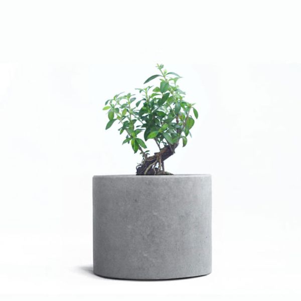 A plantadora de silicone grande molde o concreto redondo flor de vela grande plantas de armazenamento