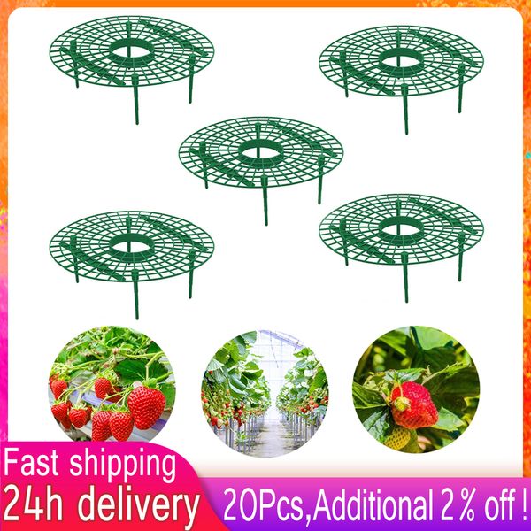 10/10/20 PCS Planta Suporte de morango Stand Stand Larde