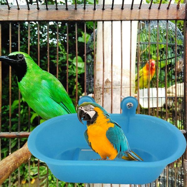 Nuova vasca da bagno di pappagallo con specchio a specchio da bagno con specchio giocattolo specchio per la doccia per budgerigar peony uccello giocattoli per uccelli per camino accessori