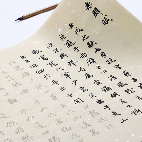 Zhao Mengfu работает регулярно сценарием Brush Resepbook китайская классика каллиграфия копирование