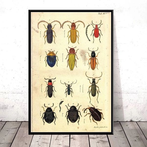 Variedade antiga de besouro vintage de insetos, gráfico científico Beetle Bees Art Canvas Pintura Poster Decoração da casa Obrazy Plakat