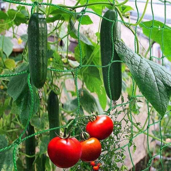 Plant Trellis Retting Pea Reting Green Garden Reding Trellis Net para Frutas de feijão Plantas de escalada de vegeta